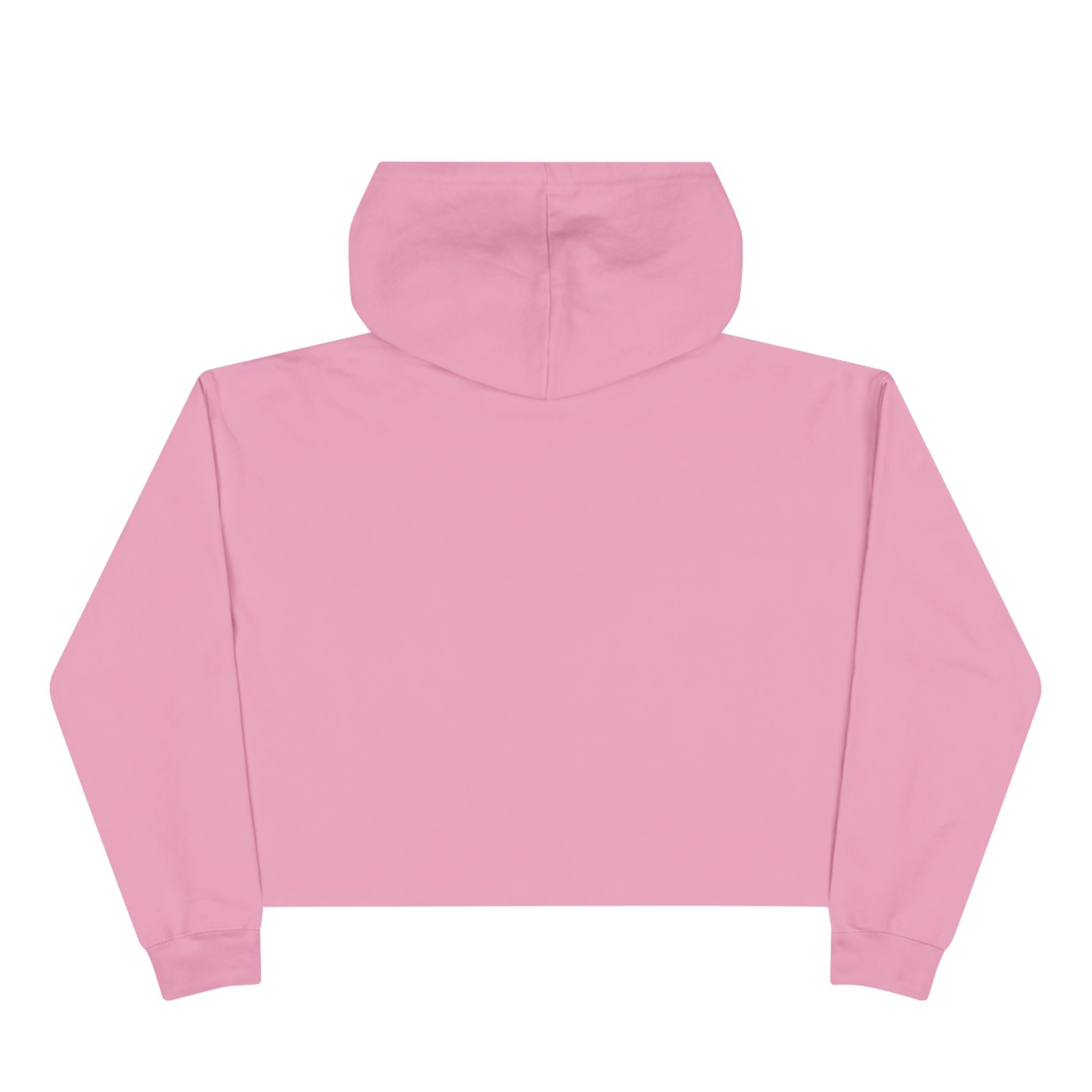 SnowyGee Dreamscape Crop Hoodie